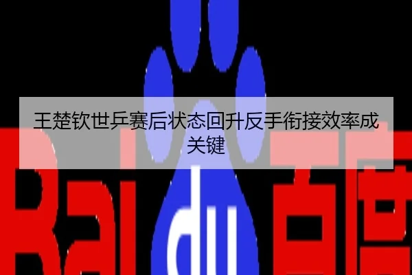 王楚钦世乒赛后状态回升反手衔接效率成关键